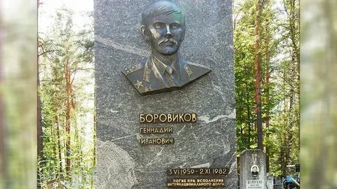 Где жил боровиков