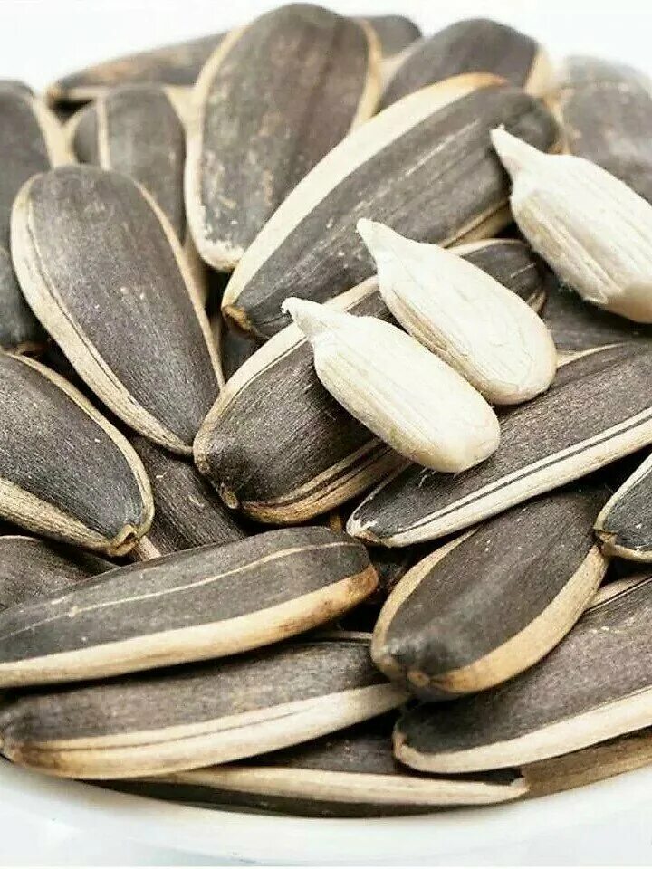 семечки полосатые. полосатые семечки подсолнечника. сорт дакота семечек подсолнуха. семечка подсолнечника полосатая. полосатые семечки сорт дакота.