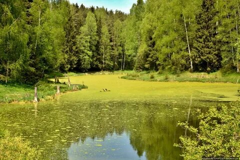Орловская хотьково