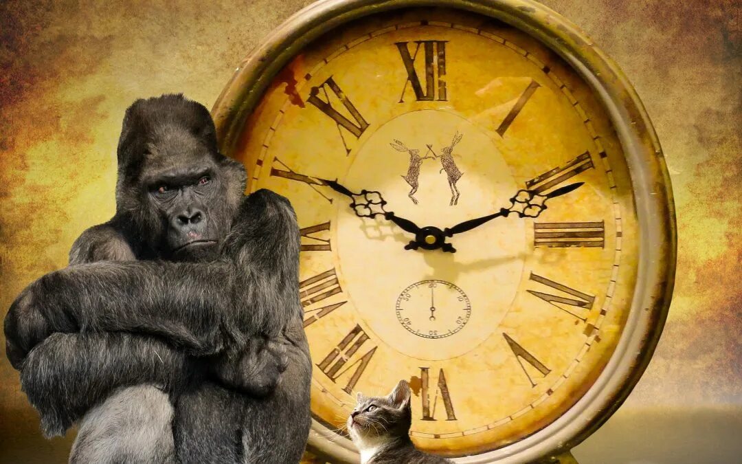 Black crazy hours franck muller. Mb&f horological machine №6 space pirate. Сумасшедшие часы. Часы franck muller crazy hours. Необычные мужские часы.