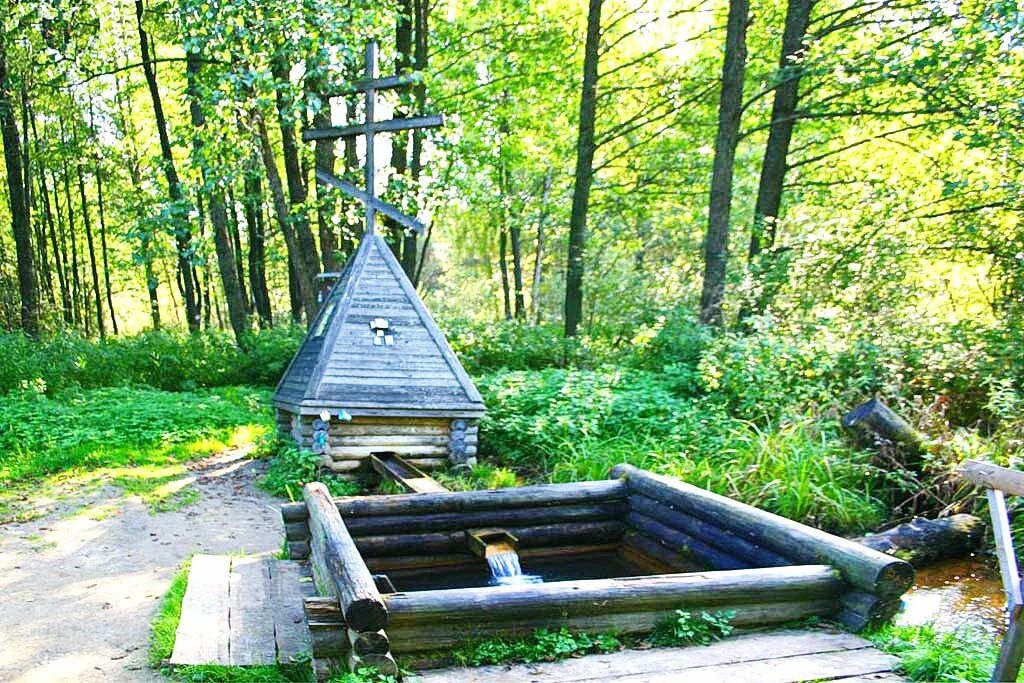 Святые источники подмосковья. Деревня Погост Святой источник. Родники Орехово-Зуевского района. Родник Московская область.