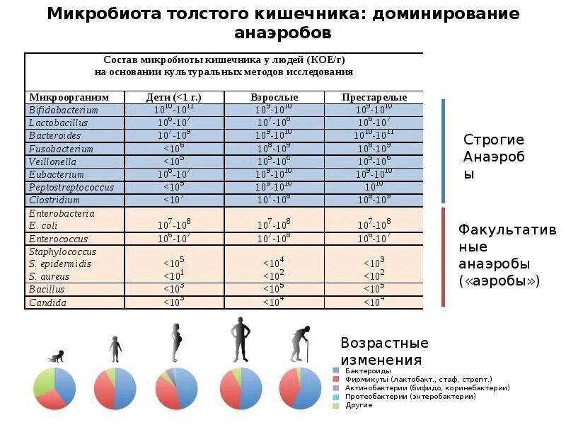 Масс спектрометрия микробных маркеров по осипову. Масс спектрометрия микробных маркеров по осипову