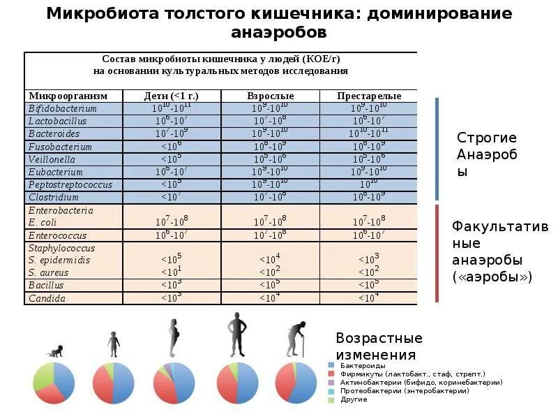 Микробиота по Осипову. Анализ микробиоты по Осипову. Микробиота по Осипову по крови. Микробиота по Осипову КДЛ.