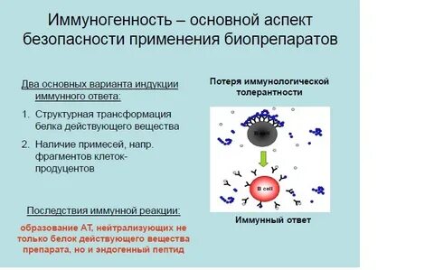 Иммуногенность