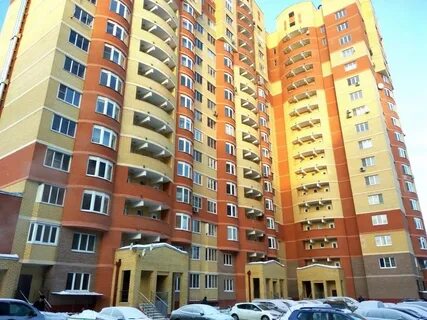 Лесная поляна кучино