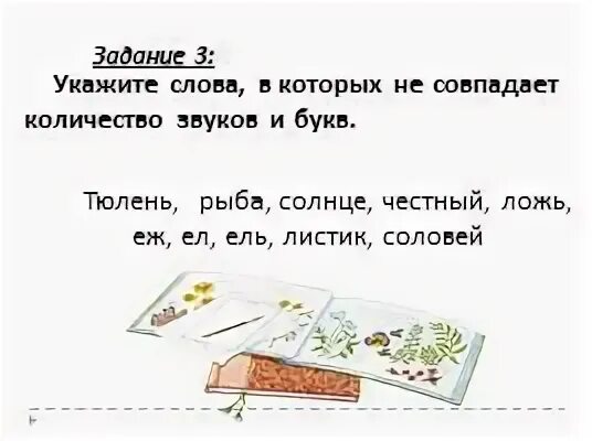 Тюлень сколько звуков