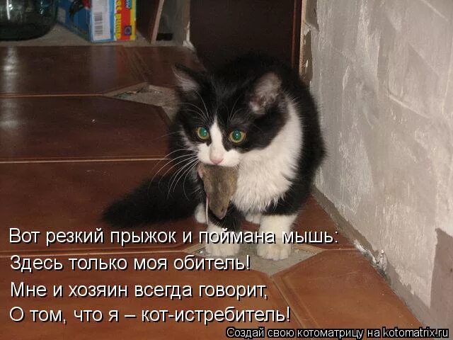 Мне слышно а меня нет