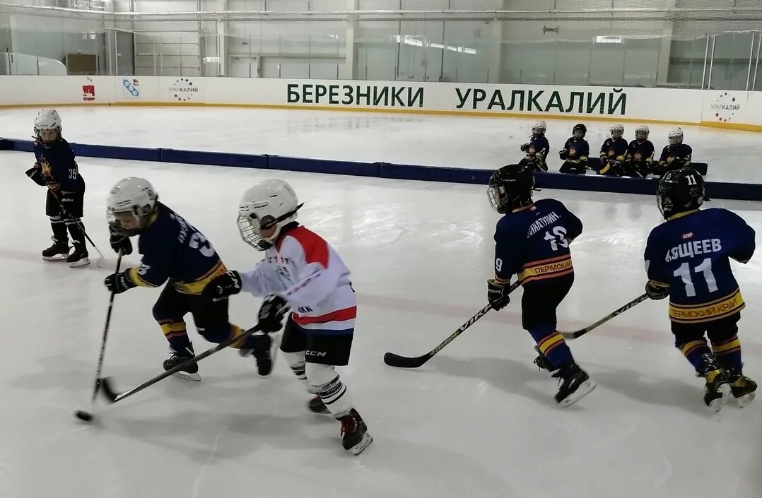 Академия молот хоккей интернат. Барс березники футбол. Хк барс абакан. Барс березники. Барс березники.