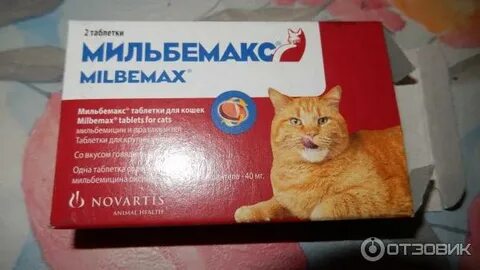 Рвота после таблетки от глистов