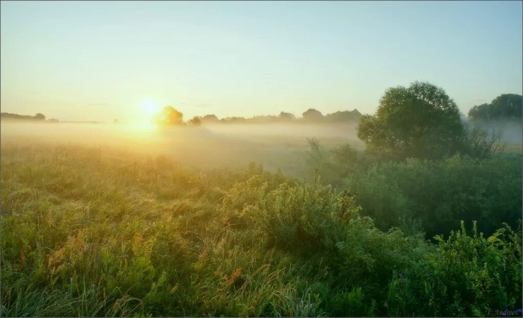 туманная дымка сканворд. пейзаж туман. туманная дымка сканворд. туман дымка. коричневый туман.