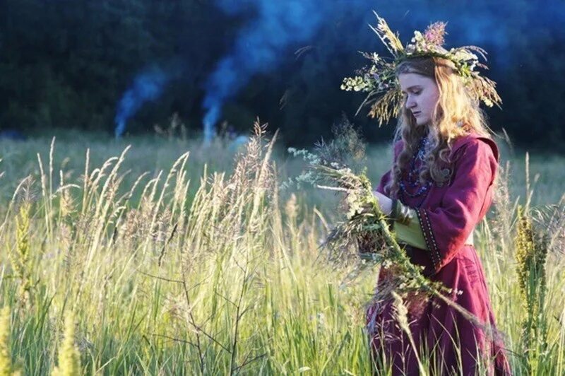 Ивана купала растения. Ивана купала растения. Ивана купала растения. Собирание трав на ивана купала. Ивана купала растения.