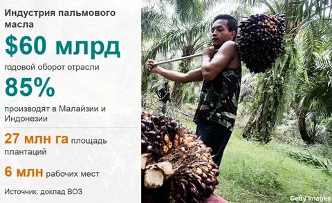 Список пальмовое масло