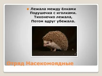 Лежала подушечка с иголками