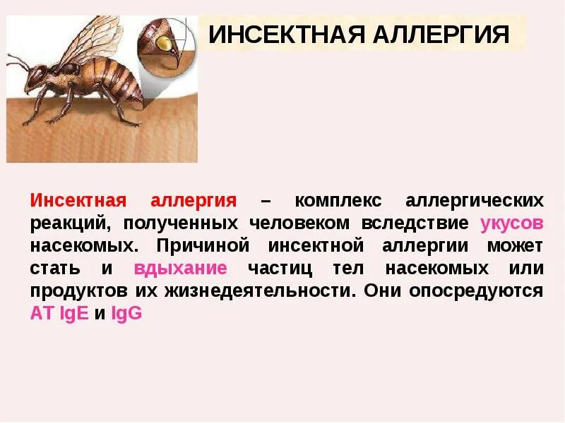 Острые аллергические реакции клинические рекомендации. Инсектная аллергия у детей. Разновидности аллергии. Инсектная аллергия иммунология. Механизм развития инсектной аллергии.