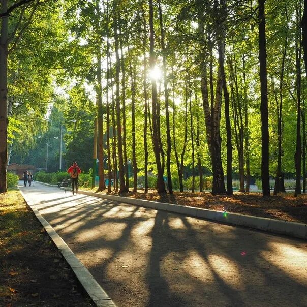 Лакреевский парк чебоксары