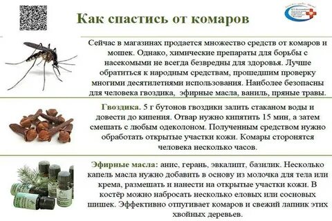 Что отпугивает мошкару