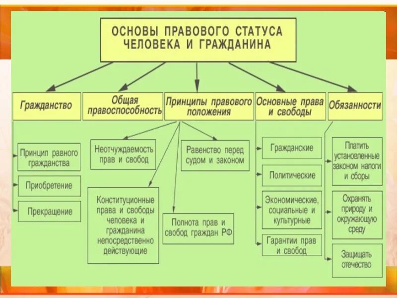 Основные статусы человека и гражданина