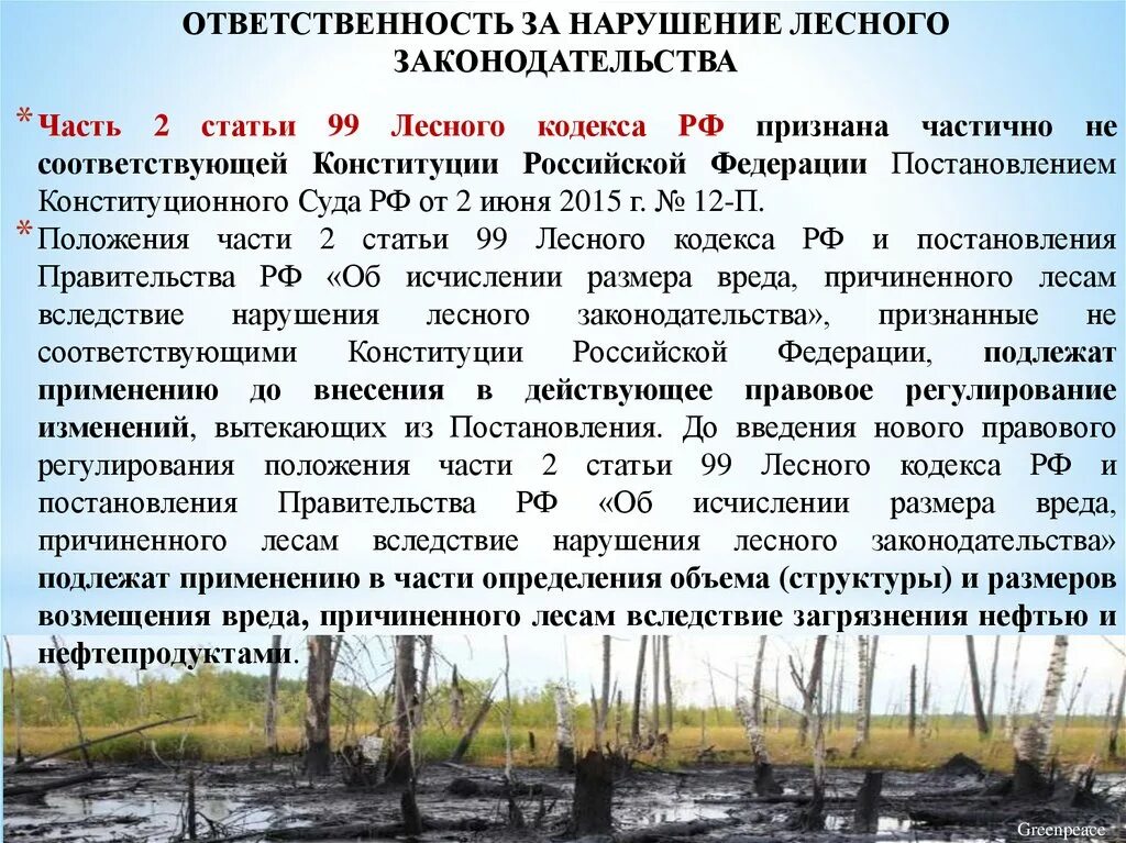 Нарушение законодательства в части. Нарушение лесного законодательства. Ответственность за нарушение лесного законодательства. Ответственность за нарушение лесного кодекса. Юридическая ответственность за нарушение лесного законодательства.