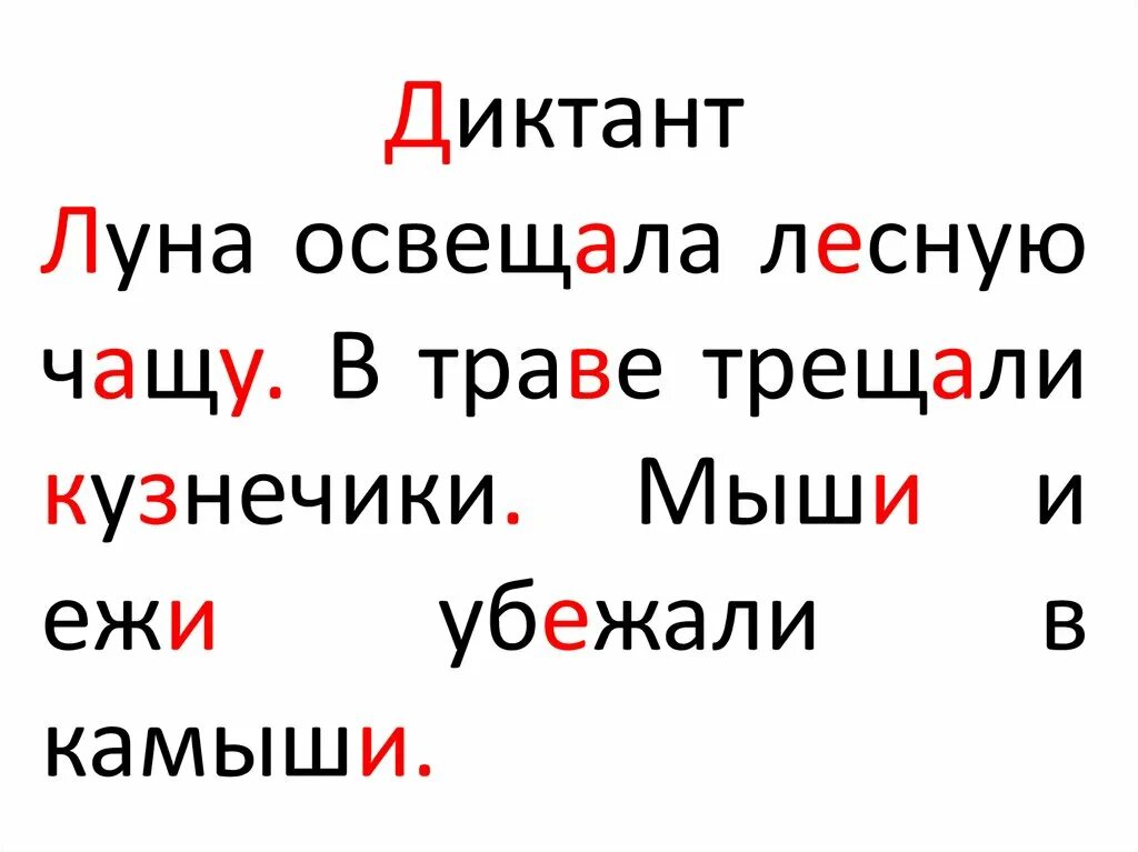 Диктант ча ща Чу ЩУ жи ши. Диктант 1 класс жи-ши ча-ща. Диктант мыши. Диктант на жи ши.