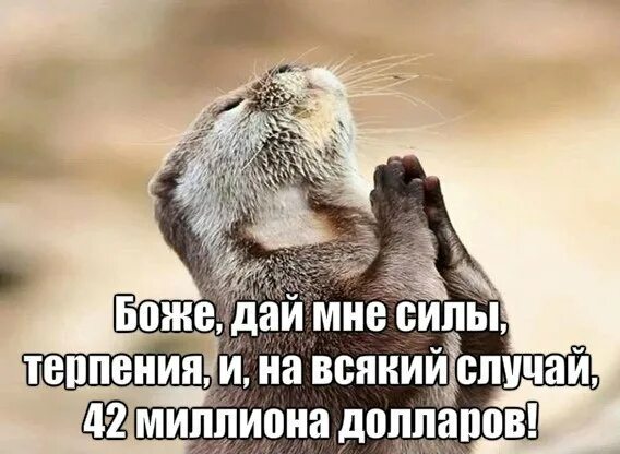 Дай мне побольше. Боже дай мне сил терпения и на всякий случай 42 миллиона долларов. боже дай мне терпения. о боже дай мне сил. господи дай сил и терпения.