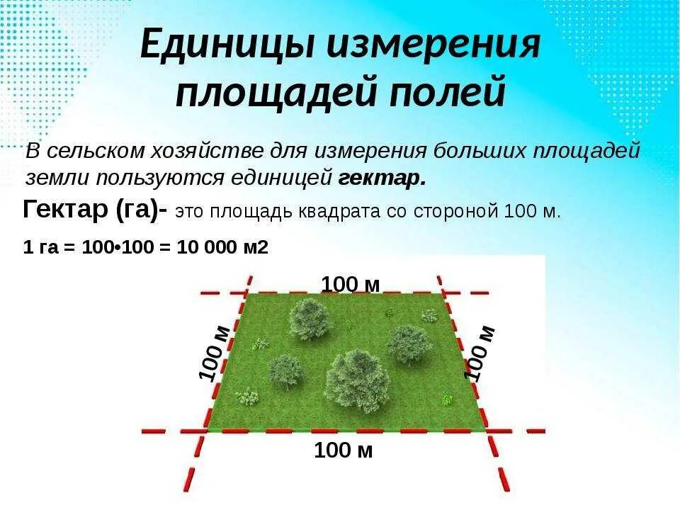 Как определить территорию