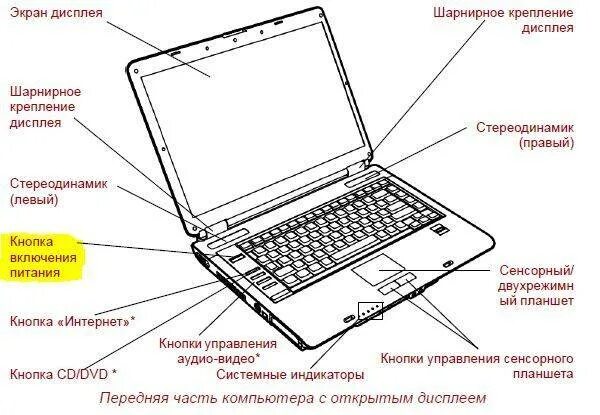 Где включается ноутбук. Нетбук asus кнопка сбоку. строение кнопки ноутбука схема. строение ноутбука acer внешнее. строение ноутбука asus внешнее.