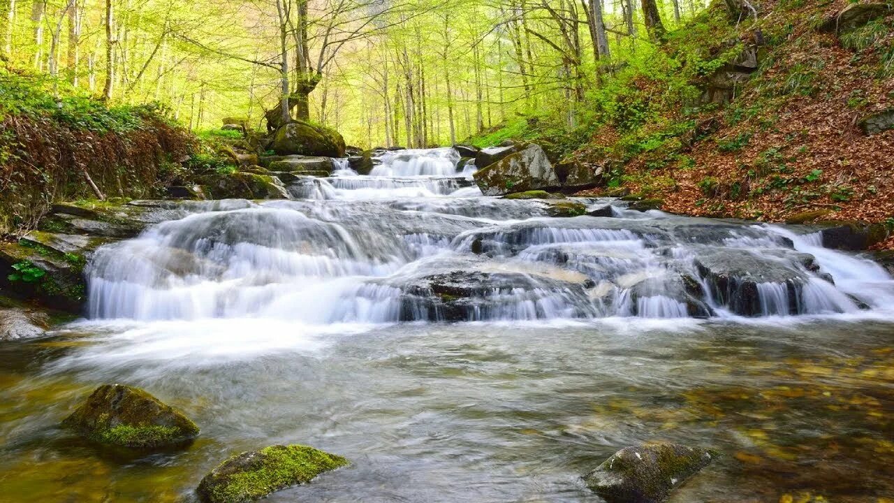 Шум воды ручья. Журчание ручья звук. Ручей водопад. Журчат ручьи. Реки ручьи водопады.