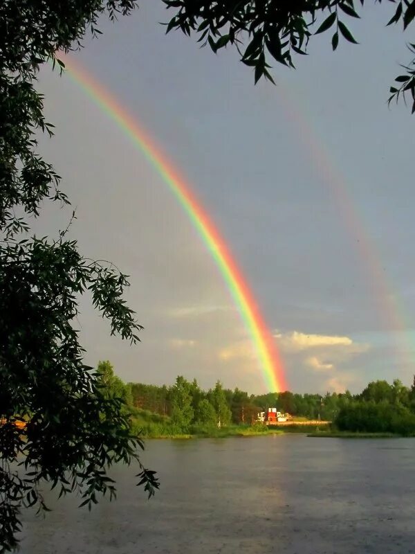 летний рисунок для детей. необычная радуга. радужный фон для фотошопа. радуга мультяшная. радуга красками для детей.