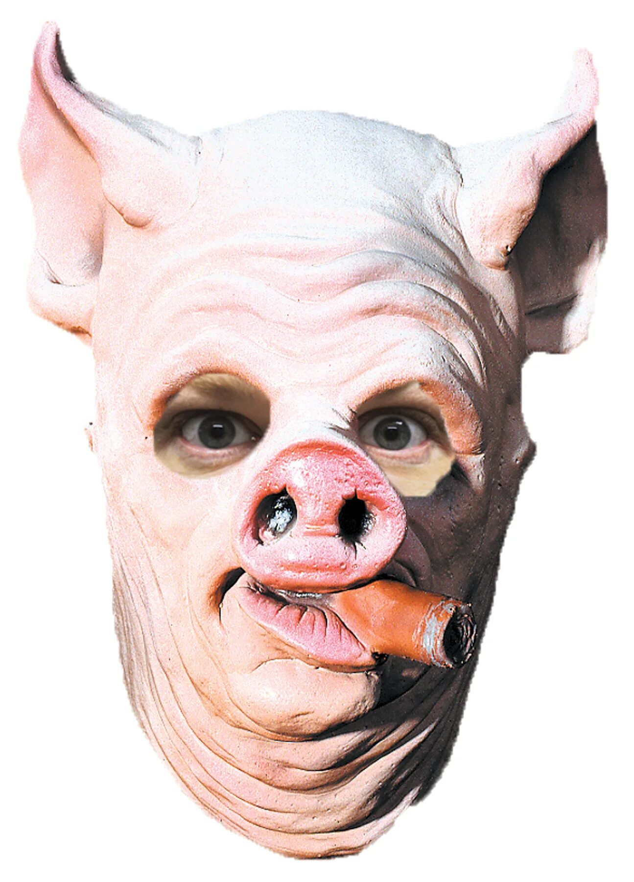 Pig out