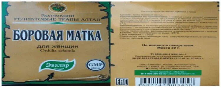 Боровая матка капли для приема внутрь инструкция. Боровая матка при беременности. боровая матка для беременна. баровая матка мед. что такое арбутин в боровой матке.