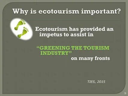 What is your attitude to ecotourism