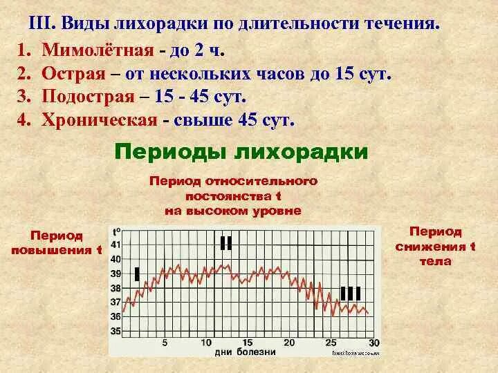 В течение первых дней