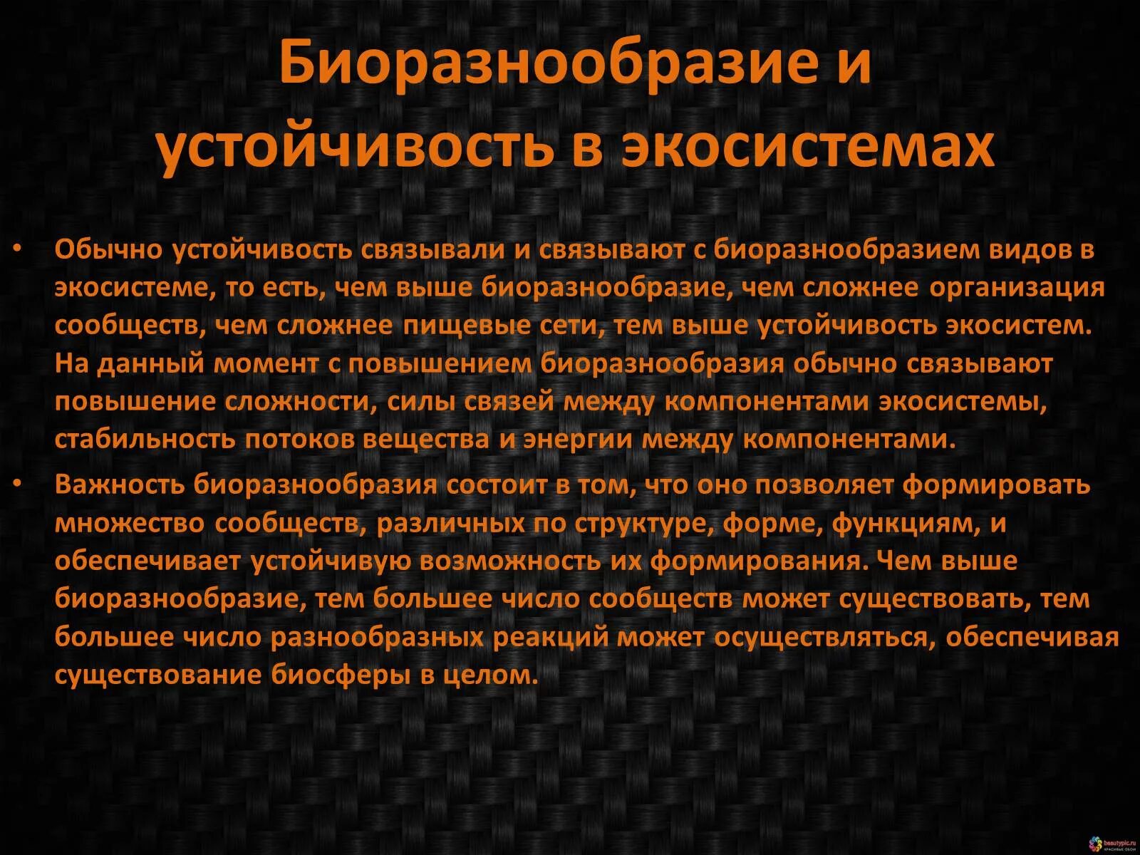 Биоразнообразие и устойчивость экосистем. Экосистемное биоразнообразие. Основы устойчивости экосистем. Роль биоразнообразия в экосистеме.