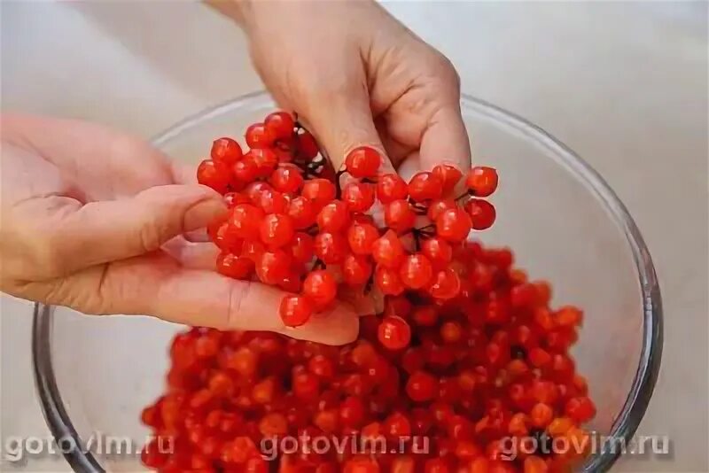 Приготовление калины с сахаром. Приготовление калины с сахаром