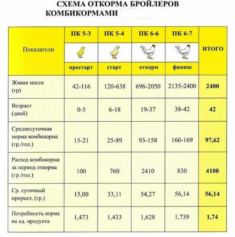 Можно ли давать бройлерам