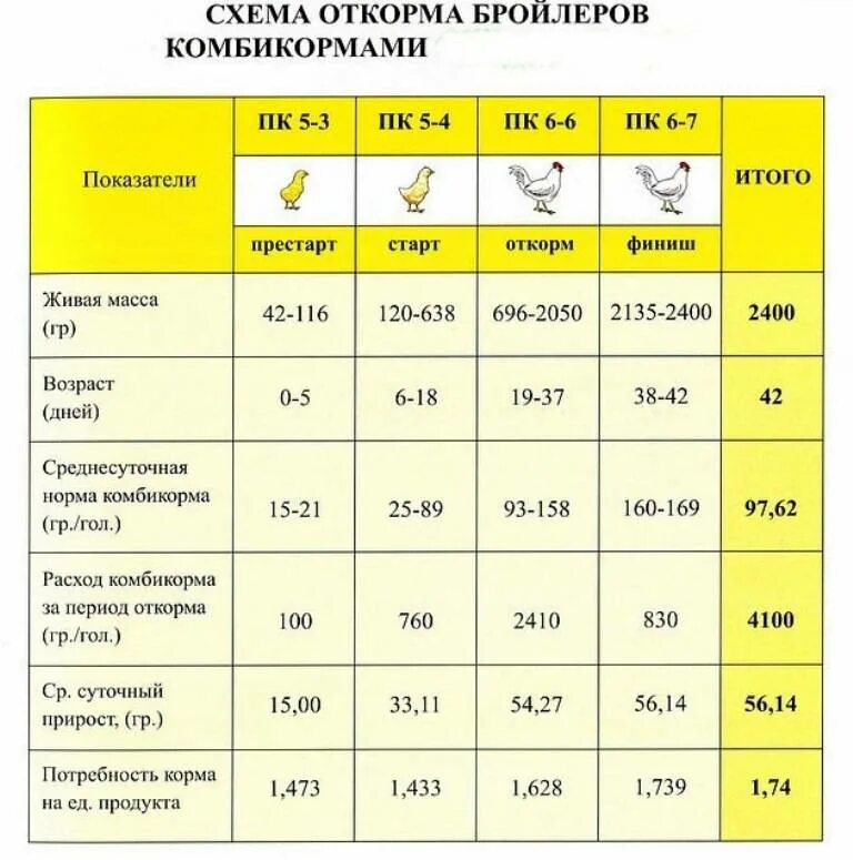 Можно ли недельным цыплятам. Схема кормления бройлеров комбикормами. Нормы кормления бройлеров Кобб 500 таблица. Таблица корма для бройлеров Кобб 500. Кормление бройлеров комбикормом таблица.