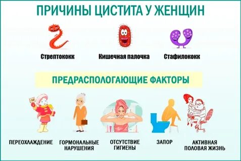 Как быстро вылечить цистит
