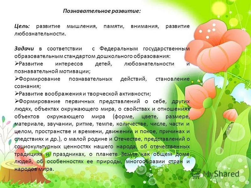 Какие могут быть интересы ребенка. Какие могут быть интересы ребенка
