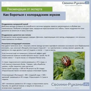 Можно ли опрыскивать картошку