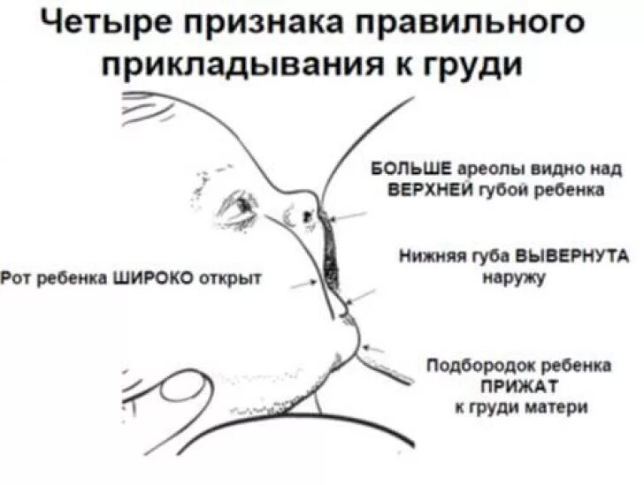 Можно ли делать массаж при гв