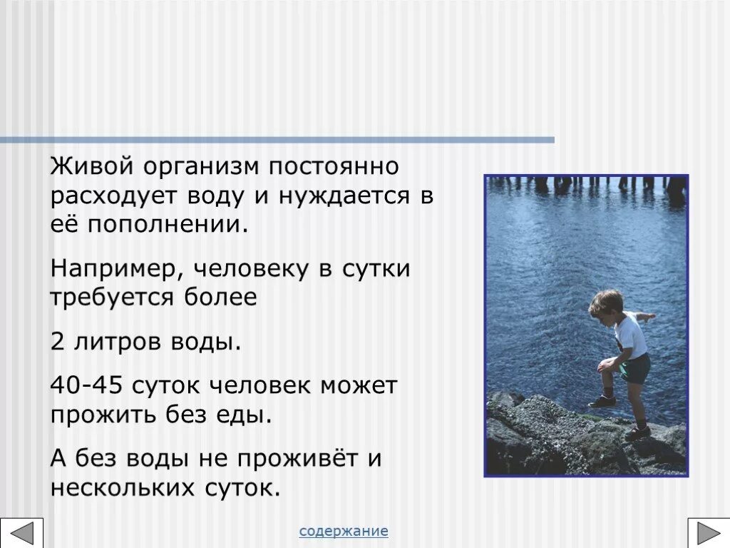 Без воды человек может прожить. Организм без воды. Сколько организм может без воды. Человеку в сутки требуется более 2 литров воды. Человек прожил без пищи