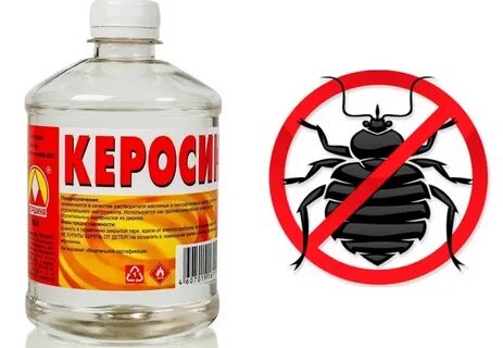 Запах отпугивающий клопов в квартире