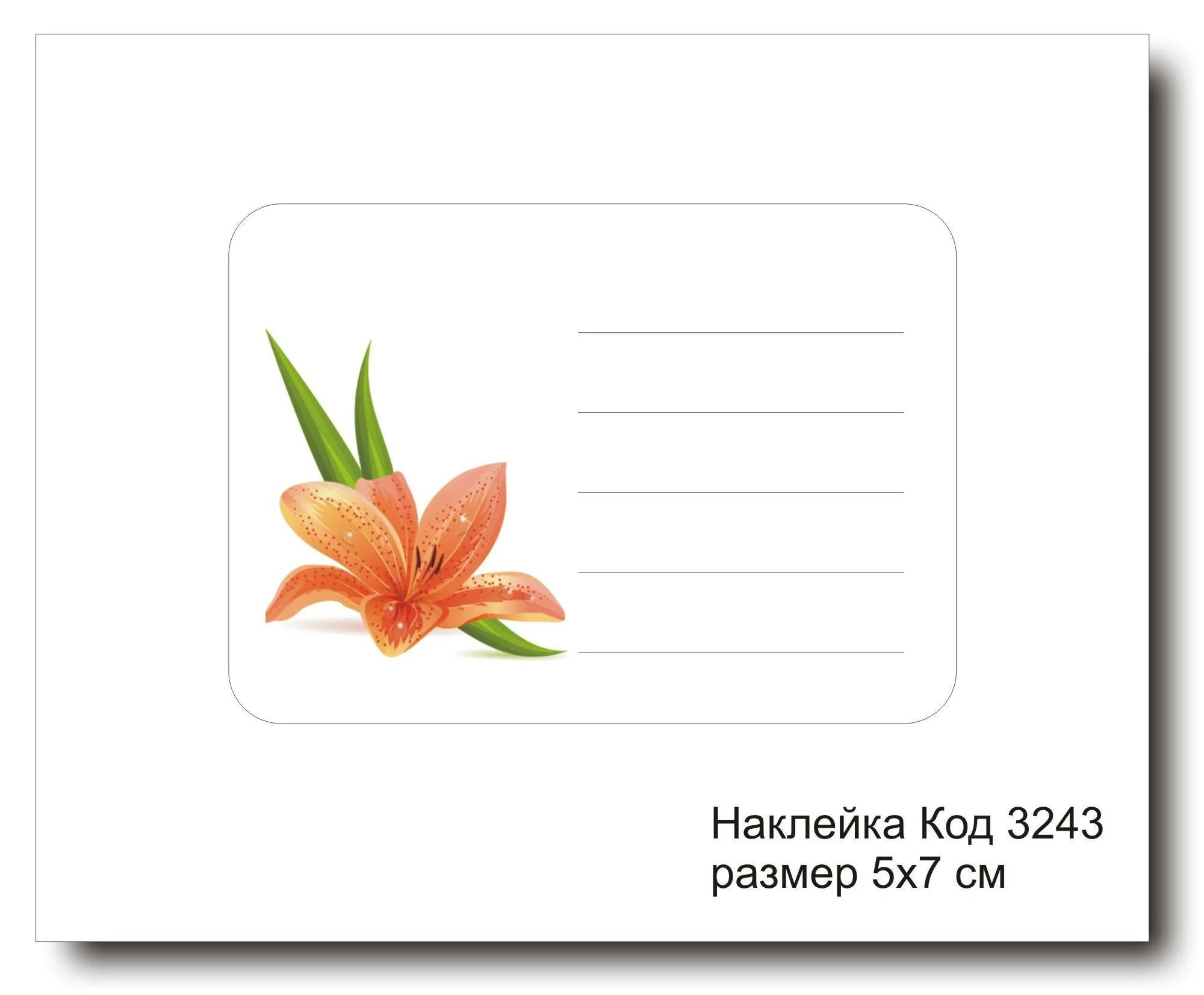 Этикетки 5 10