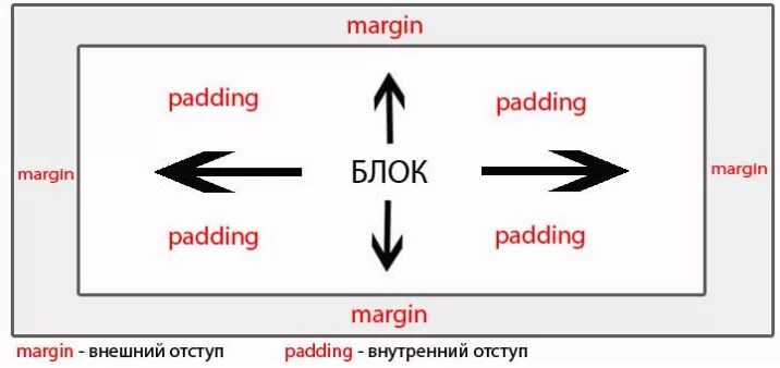 Img margin html. Margin padding. margin padding css. margin padding разница. html margin и padding.