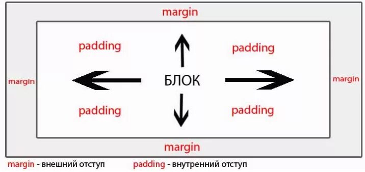 Margin в html. Margin padding. Margin padding CSS. Margin padding разница. Html margin и padding.