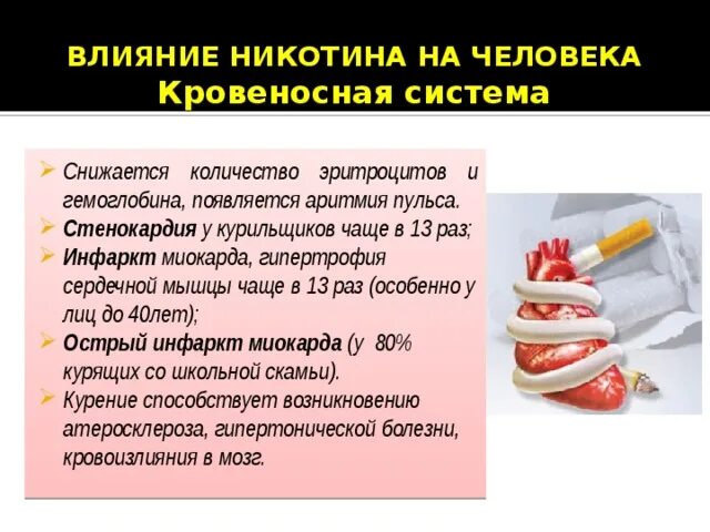 Влияние никотина на кровеносную систему. Влияние курения на кровеносную систему. Влияние табака на кровеносную систему.