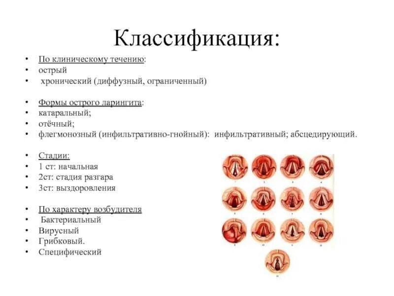 Острые и хронические поражения