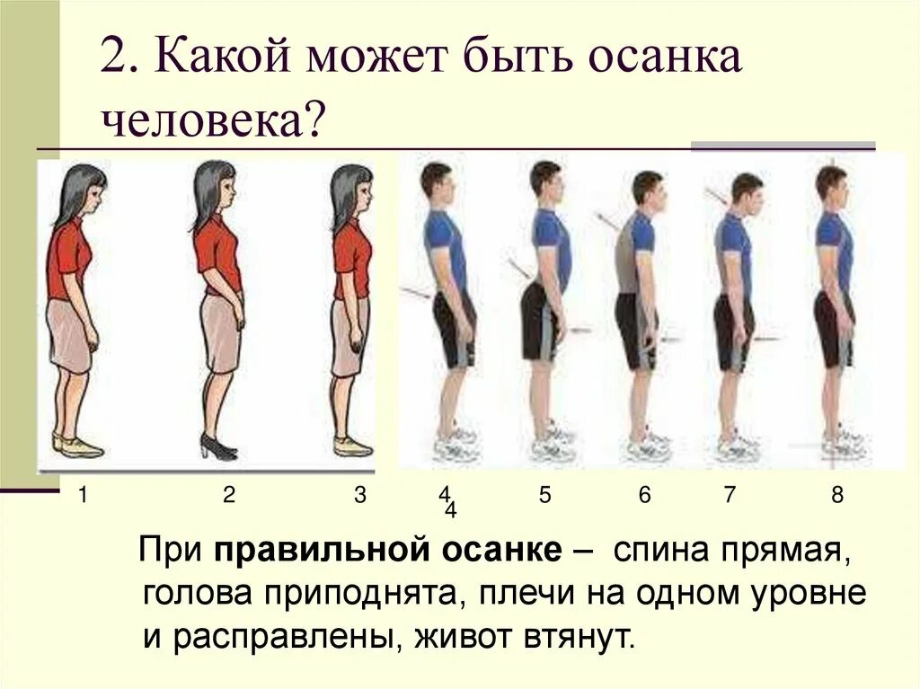 Какие позиции есть у человека. Типы осанки. Правильная осанка у человека. Правильный Тип осанки. Какая бывает осанка у человека.