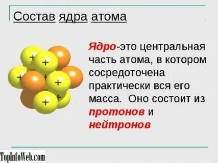 Каков состав ядра атома