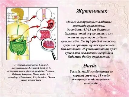 Секс ұлы мен анасы туралы бейне